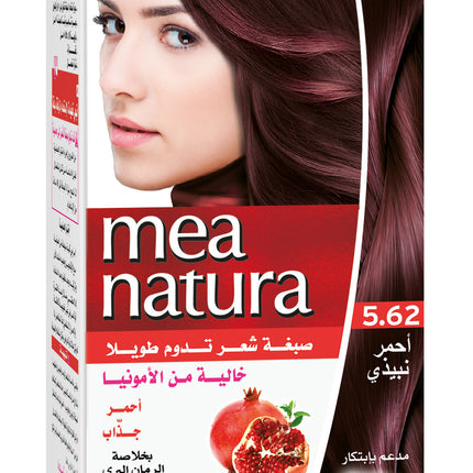 Mea Natura Amonia Free Hair Color