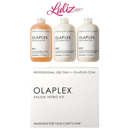 مجموعة مقدمة صالون أولابليكس الخطوة 1 ، 2